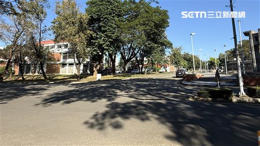 黑狗擊落女大生！她趴地慘摔…險遭公車輾