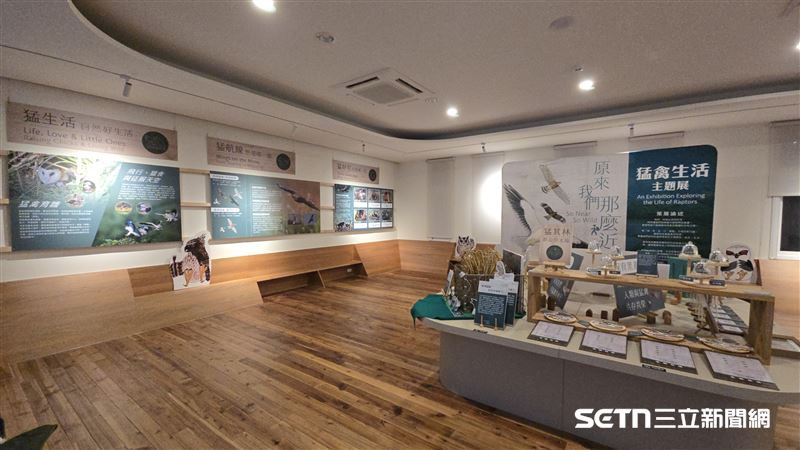 「So Near, So Wild原來我們那麼近-猛禽生活主題展」移師大雪山，在森林遊客中心打造充滿自然光的舒適展間。展場將神祕的空中王者轉化為生活化的視角，藉此邀請旅人在登山小憩之餘，能走進猛禽的「私生活」，感受這場結合美學與保育的知性對話。（圖／林業及自然保育署台中分署授權提供）
