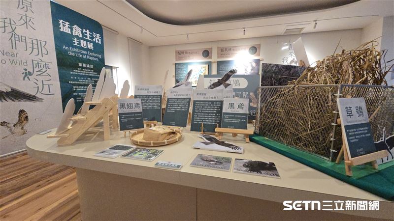 展區巧妙運用模型與圍網，呈現猛禽面臨棲地縮減與食物不足的現實挑戰。藉由黑翅鳶與草鴞的故事，展現出農田友善耕作對生態平衡的重要性，讓民眾了解透過減少用藥與棲架設置，就能在日常生活中伸出援手，守護這些守望自然的高階消費者。（圖／林業及自然保育署台中分署授權提供）
