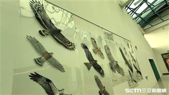 猛禽界信義區在這　「天王」私生活大公開