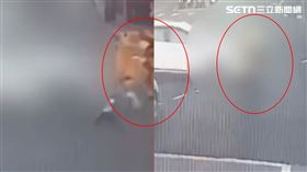 長庚醫院,高雄,騎士,闖紅燈,鳳山,車禍,