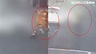 趕上班…1秒鏟飛「肉體大字型甩」畫面曝