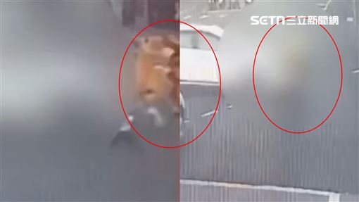 趕上班…1秒鏟飛「肉體大字型甩」畫面曝