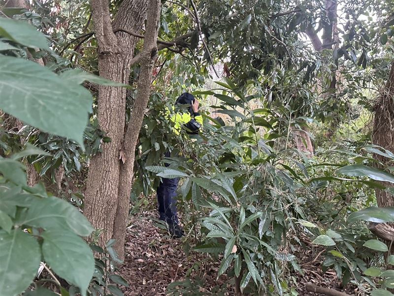 警方及消防、民間救難團體紛紛前往荒地、果園及樹叢中找人。（圖／翻攝畫面）