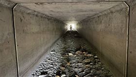 彰化,失智翁,失蹤,陳屍排水道,家屬,認屍（圖／翻攝畫面）