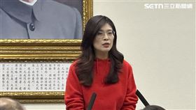 鄭麗文主持中常會。（圖／記者詹宜庭攝影）