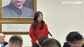 鄭麗文主持中常會。（圖／記者詹宜庭攝影）