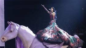 跨年夜大巨蛋開唱　蔡依林駕「彩翼飛馬」吸睛歌后蔡依林（圖）31日晚間在台北大巨蛋繼續舉行PLEASURE演唱會，更盛裝駕馭「彩翼飛馬」高歌，掀起全場一波波高潮。（凌時差提供）中央社記者洪素津傳真　114年12月31日