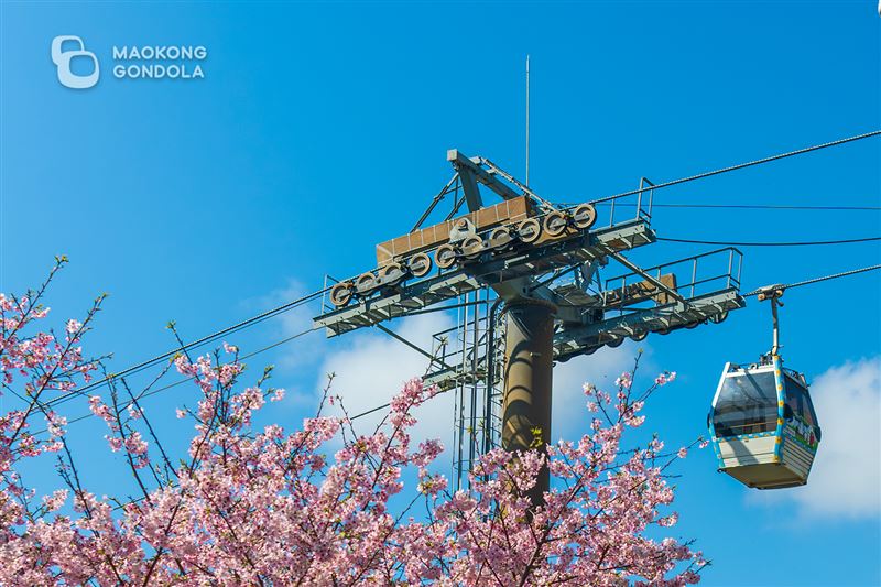 北捷遊憩公司負責經營管理台北小巨蛋、台北市立兒童新樂園與貓空纜車三座重要公共休閒場館。（圖／北捷遊憩官網）