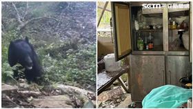 林保署嘉義分署,嘉義,台灣黑熊,冰箱,罐頭（圖／林保署嘉義分署提供）