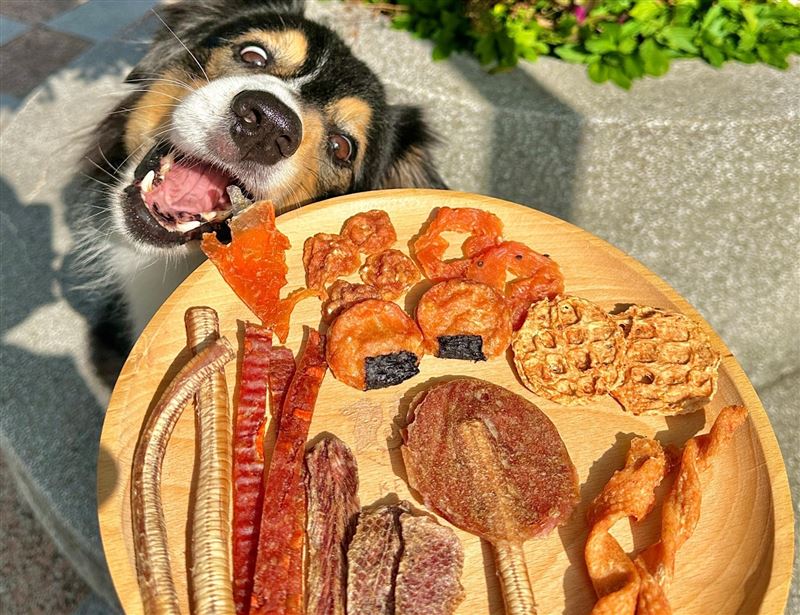 尾巴丘零食熱銷榜冠軍「燒鴨棒棒糖」，不只有職人慢焙的紮實口感，特殊造型也吸引飼主目光。（圖／品牌業者提供）