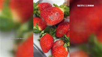 獨／花1400買進口草「霉」　業者霸氣退款