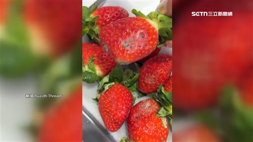 獨／花1400買進口草「霉」　業者霸氣退款