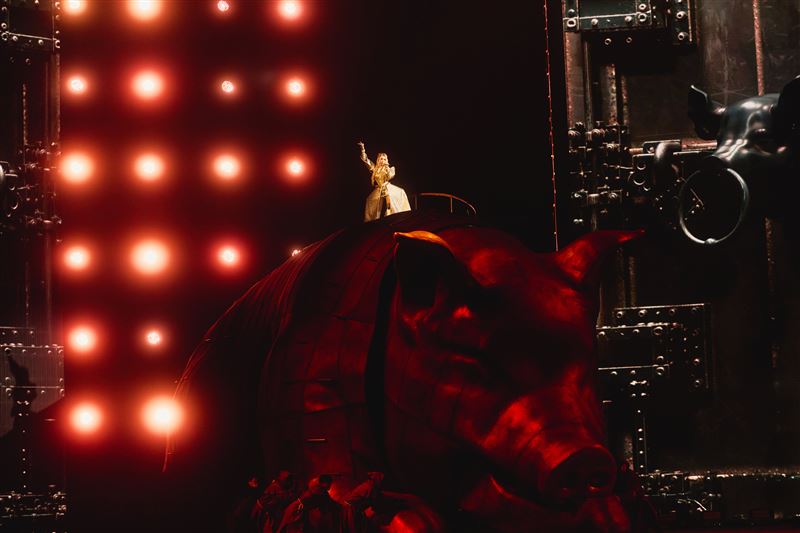 「貪婪金豬」不僅是蔡依林坐騎，更內建吐鈔機功能普發「愉悅紙鈔」。（圖／凌時差提供）