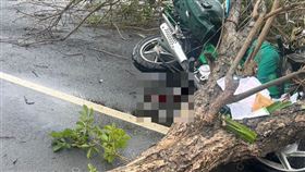 中區養護工程分局,彰化,郵差,死者,愛子,國賠,工程,路段,黃花,風鈴木,孩子,母親,死亡,芬園鄉（圖／翻攝畫面）