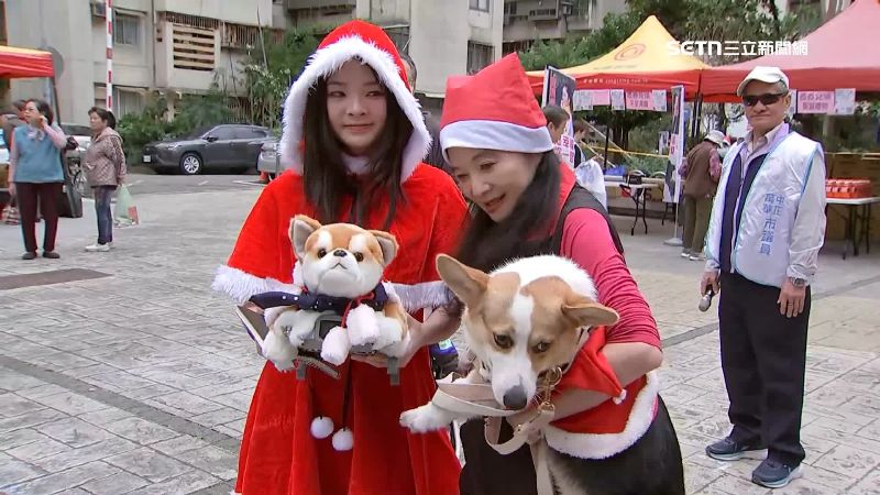 應曉薇、應佳妤動作頻頻，被解讀是為議員選戰鋪路