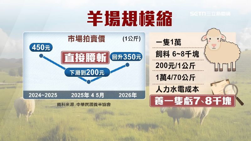 羊農面臨賠錢賣羊的困境