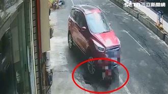 女蹲路邊玩狗遭輾畫面曝！肋骨穿肺命危