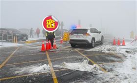 合歡山「小姐姐」變了！他嚇壞：雙眼狠瞪（圖／翻攝中橫路況交通資訊站）