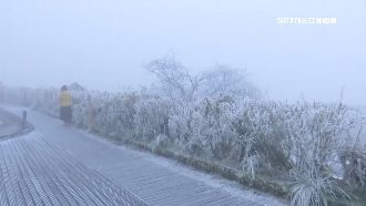 冰封太平山！霧淞銀白世界　追雪族嗨打卡