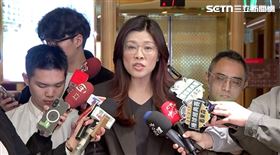 國民黨主席鄭麗文（圖／翻攝畫面）