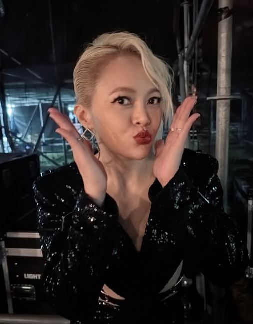 戴愛玲激瘦一圈。（圖／翻攝自IG @_princess.ai）