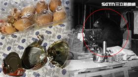 達邦社區,嘉義,工寮,台灣黑熊,冰箱,罐頭,覓食,林業及自然保育署嘉義分署,監視器（圖／翻攝畫面）