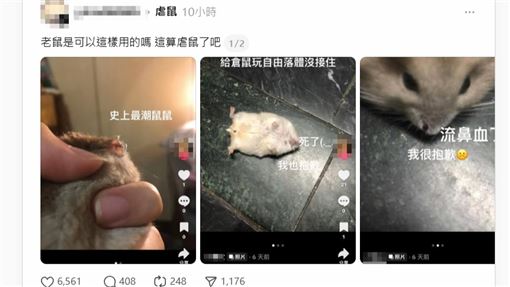 誇張畫面曝！她虐倉鼠…再戲謔拍片傳抖音