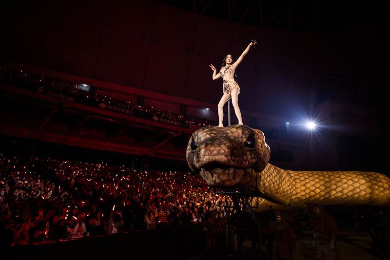 蔡依林《PLEASURE 愉悅演唱會》隱藏訊息曝光，整型外科名醫潘致皓醫師破解女神3天養生攻略。（圖／凌時差提供）