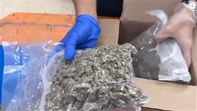 南投魚池露營區，竟成毒窟，刑事局中打，偵破大麻國際郵包，加拿大，逮4嫌(圖／翻攝畫面)