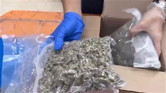 密收跨國大麻包裹　南投魚池露營區淪毒窟