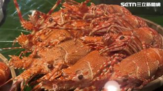 親中欺負台不忍了！「這國」龍蝦輸台腰斬