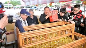 ▲限量金雞蛋。（圖／翻攝自竹山紫南宮粉絲專頁）