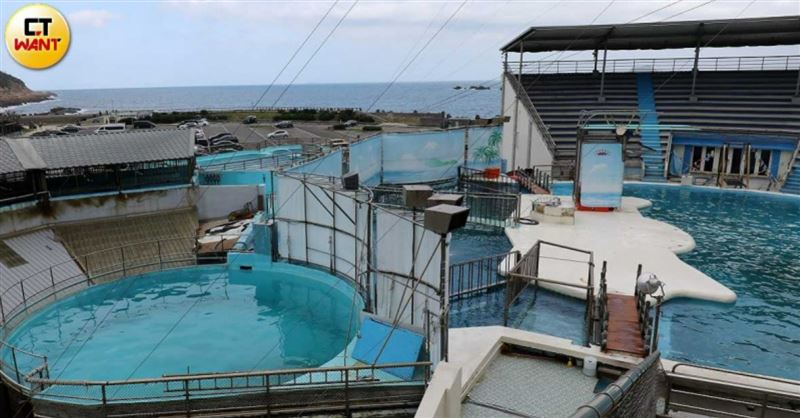 野柳海洋世界建物老舊且後場環境狹小，海豚們處境宛如坐牢，園方卻拒絕保證「不會再有意外」讓新生命誕生。（圖／方萬民攝）