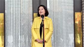 民進黨立委吳思瑤表示，蔣萬安不用等到12日大費周章開北北基桃會議，最快方法是遊說國民黨立委讓總預算付委審查（圖／翻攝畫面）