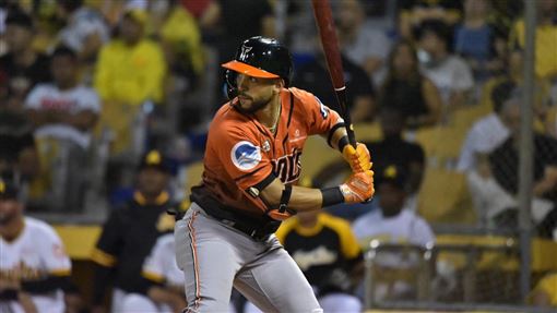 富邦4洋投還不夠　證實找洋砲「進行中」