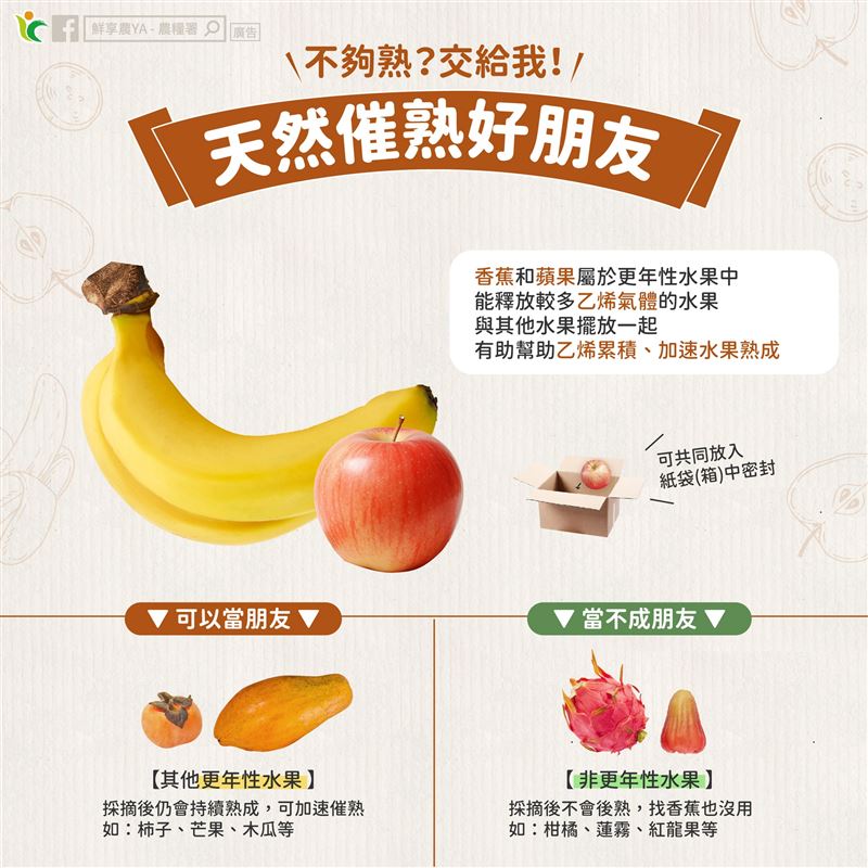 農糧署說明「更年性」及「非更年性」水果特性。（圖／取自鮮享農YA - 農糧署臉書）