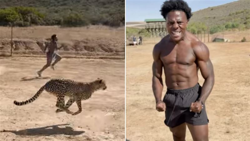 千萬網紅和豹賽跑出事!大腿濺血拚死猛衝