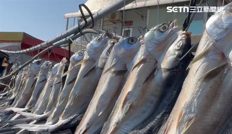 里長為虱目魚念祝禱文、放生:希望牠下輩子不要再投胎當魚。(圖/翻攝畫面)