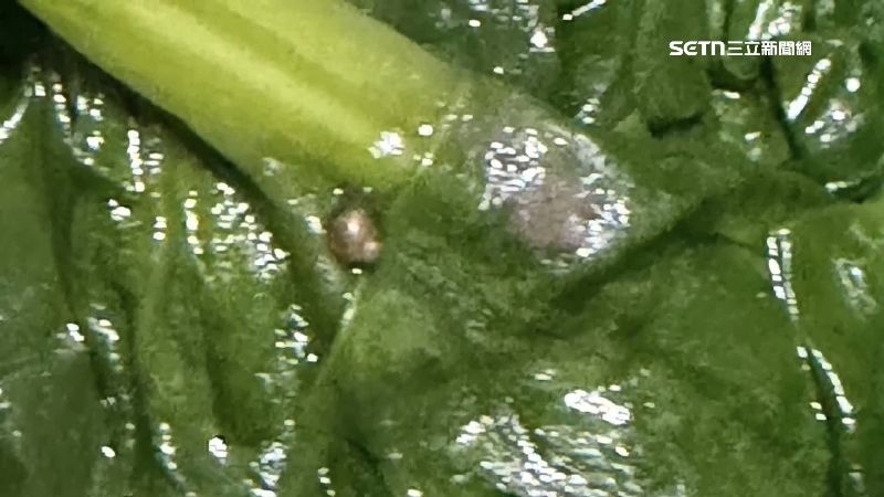 鼎泰豐240元菠菜有蝸牛 業者歉：加強訓練