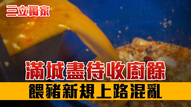 獨／滿城盡待收廚餘　餵豬新規上路混亂