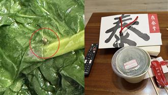 鼎泰豐炒波菜有「蝸牛＋泥土」衛生局出手