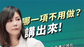 行政院發言人李慧芝列出少子女話對策，反嗆黃國昌「哪一項不用做？講出來！」。（圖／行政院）