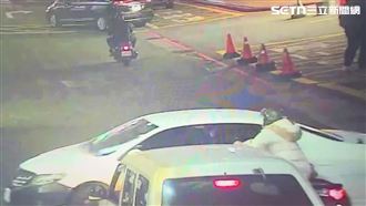 北車旁轎車暴衝事故　22歲女肇事原因曝光