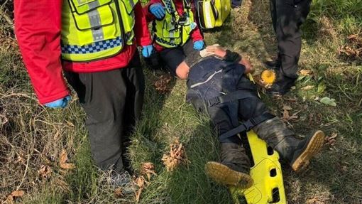 除草遭蜂襲4人傷！男被螫20多下插管治療