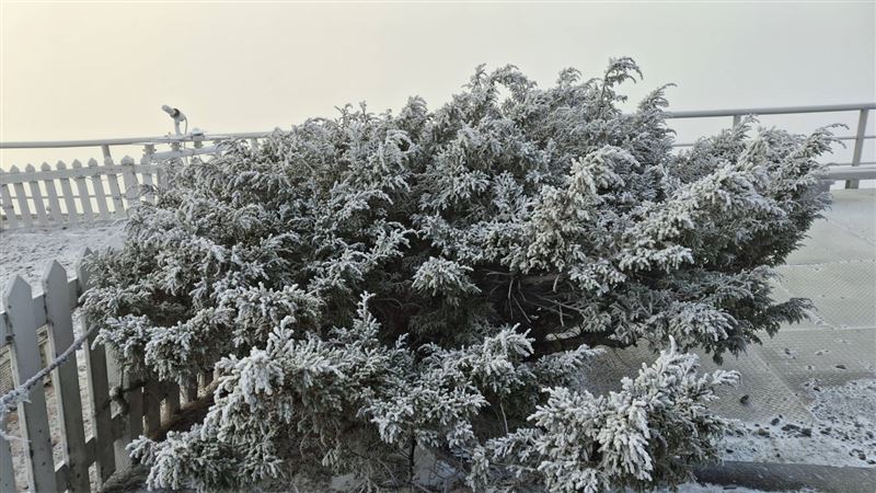 玉山出現霧淞景象。（圖／氣象署提供）