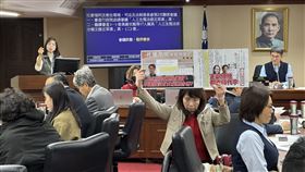 陳昭姿（前）視代孕合法化為其立委生涯志業。（圖／記者簡浩正攝影）