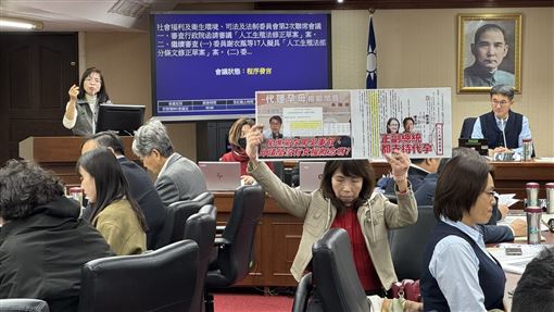 林淑芬槓陳昭姿！批「陳九條」代孕草率