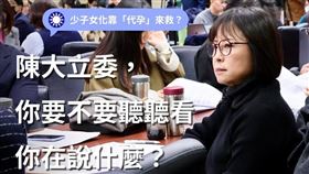 民進黨立委林月琴在臉書發文怒批國民黨立委陳菁徽發表荒謬言論。（圖／翻攝自林月琴臉書）