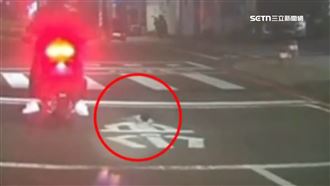 幼貓竄出鑽機車車底！警「廣播」急喊別動